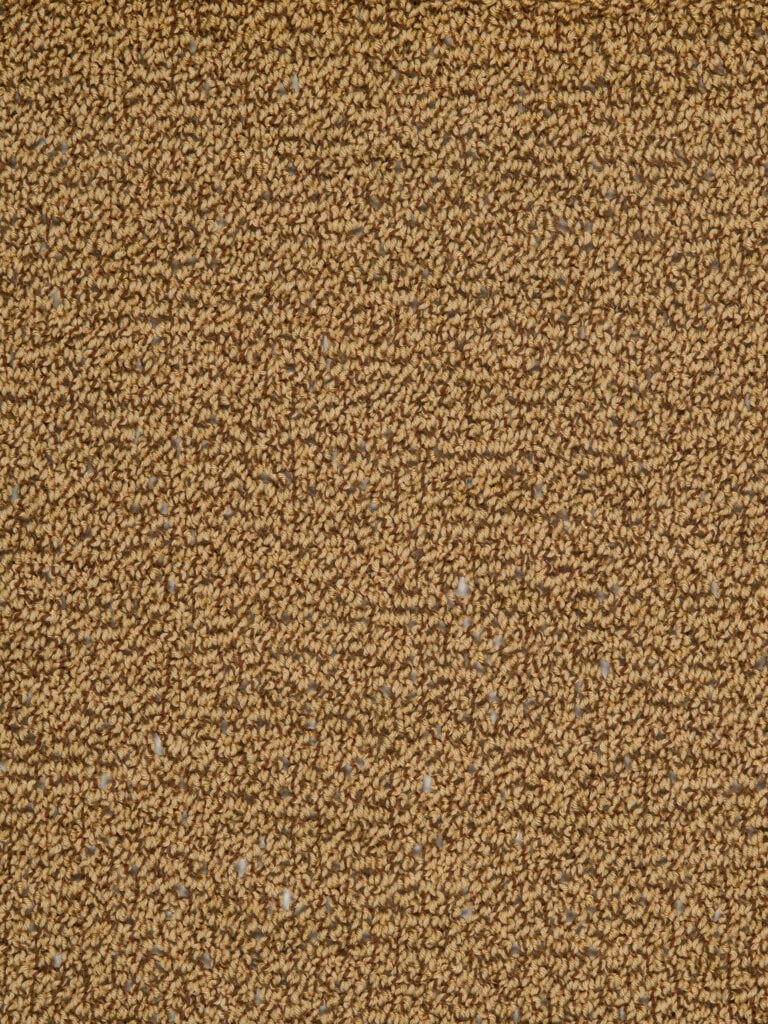 Lasco SS22