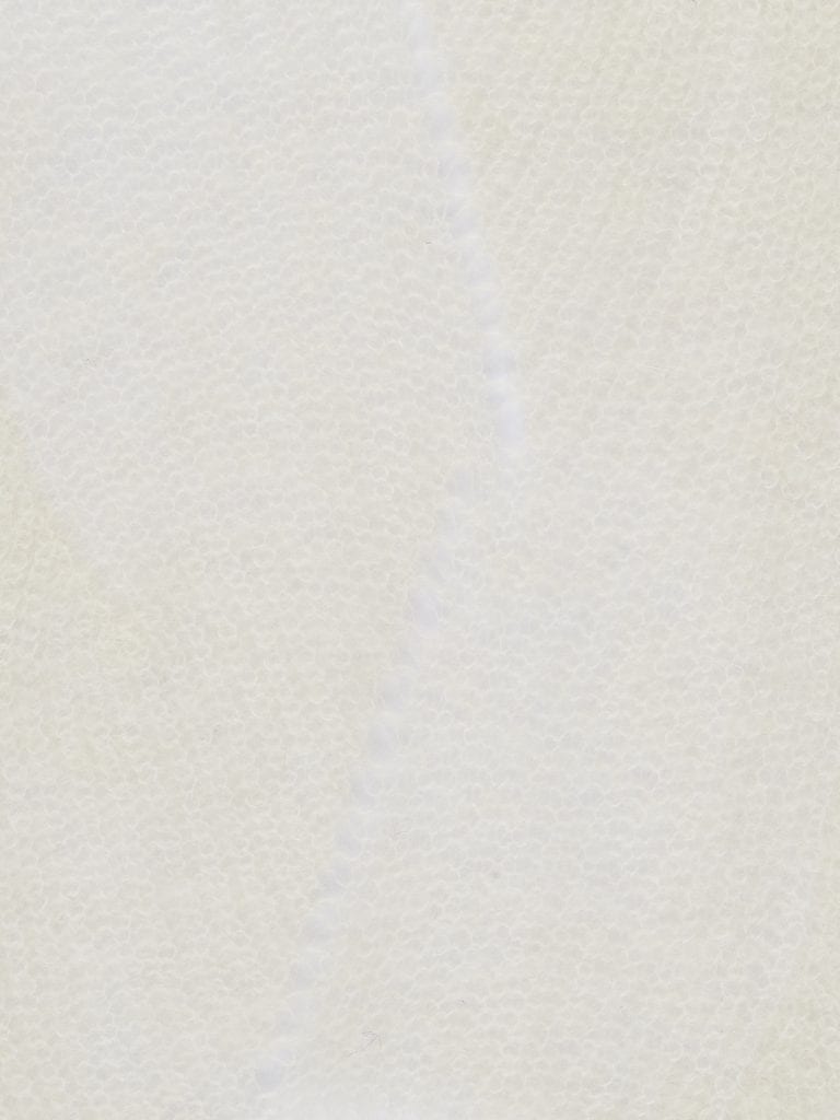 Bernie AI23