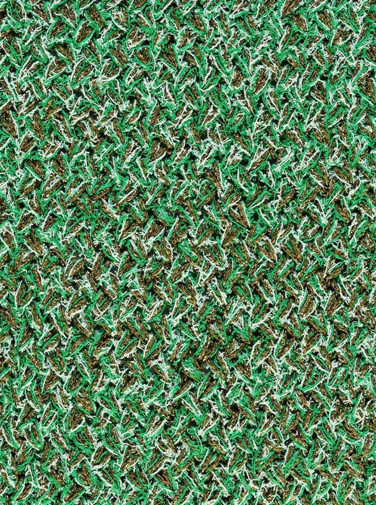 Forest PE20