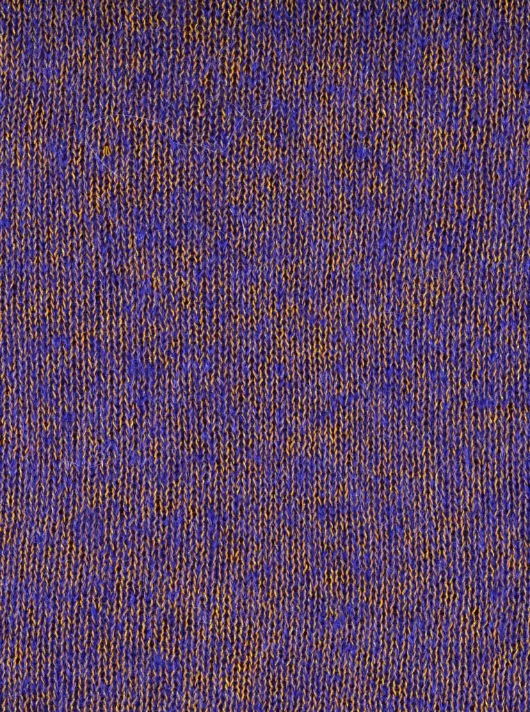 Galaxy AI19