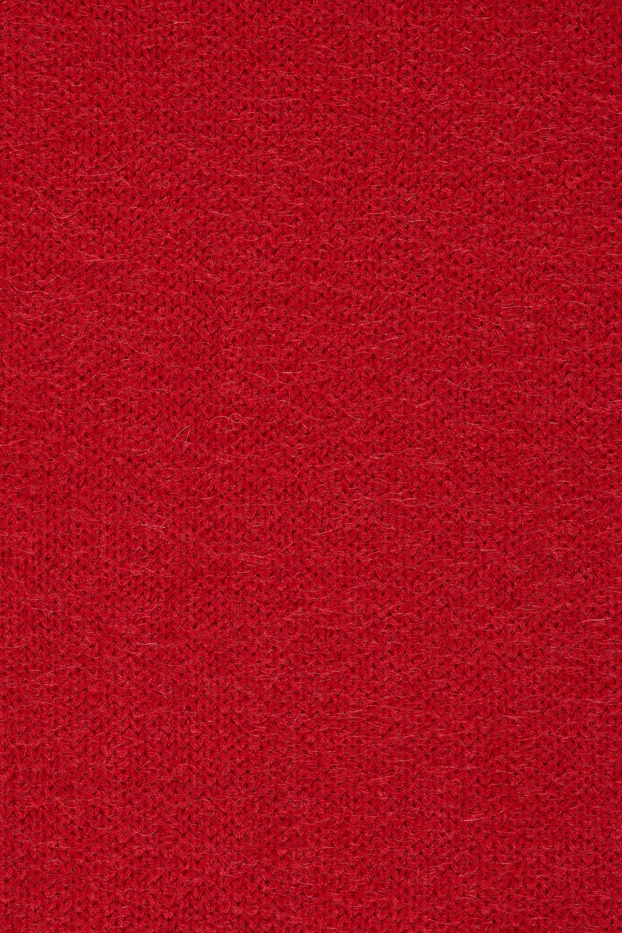 Giunone AI28